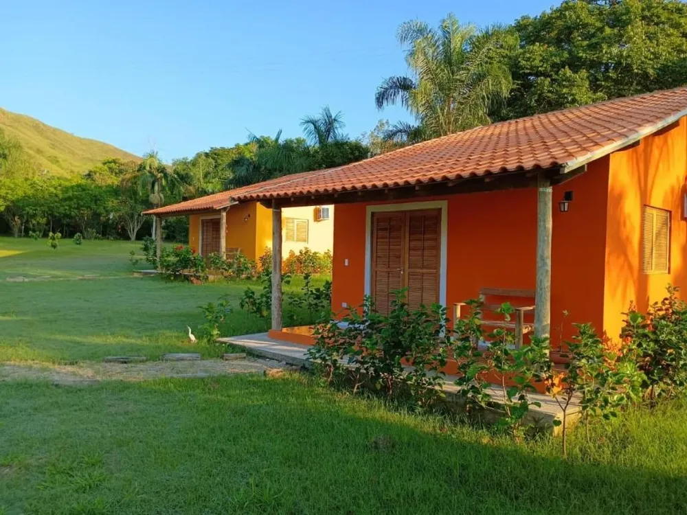Fazenda, 78 hectares - Foto 5