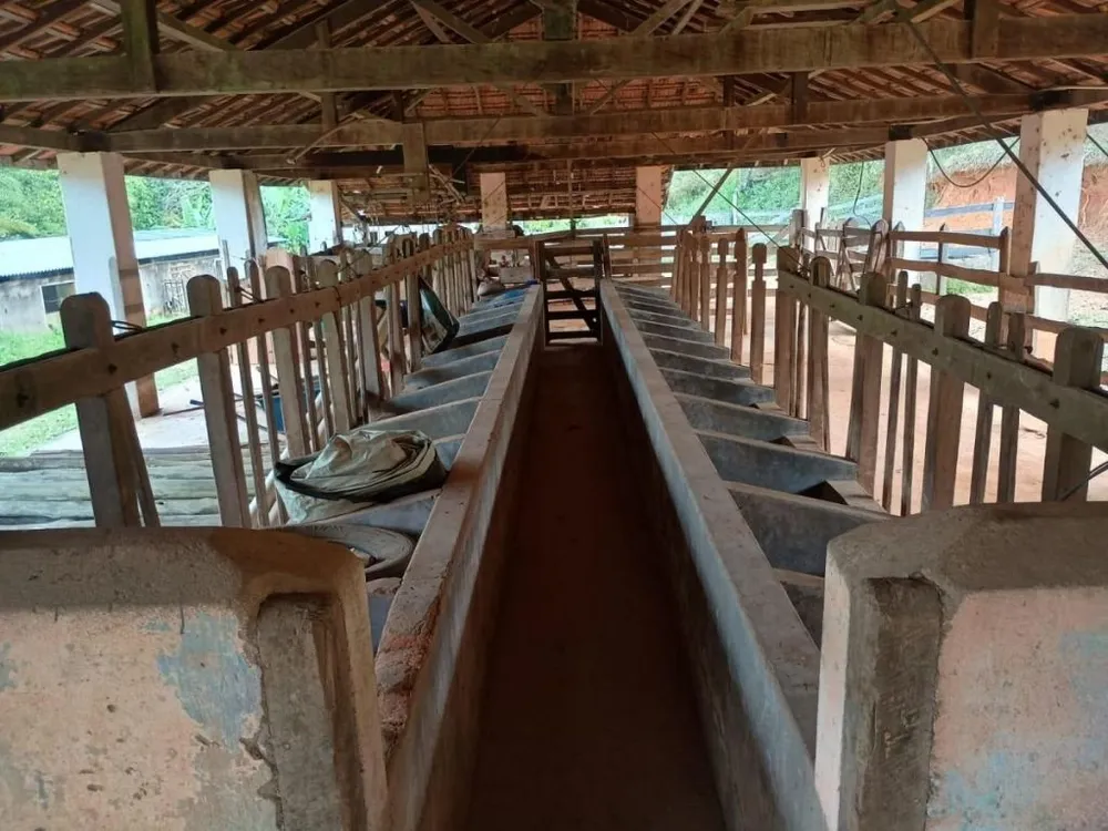 Fazenda, 78 hectares - Foto 4