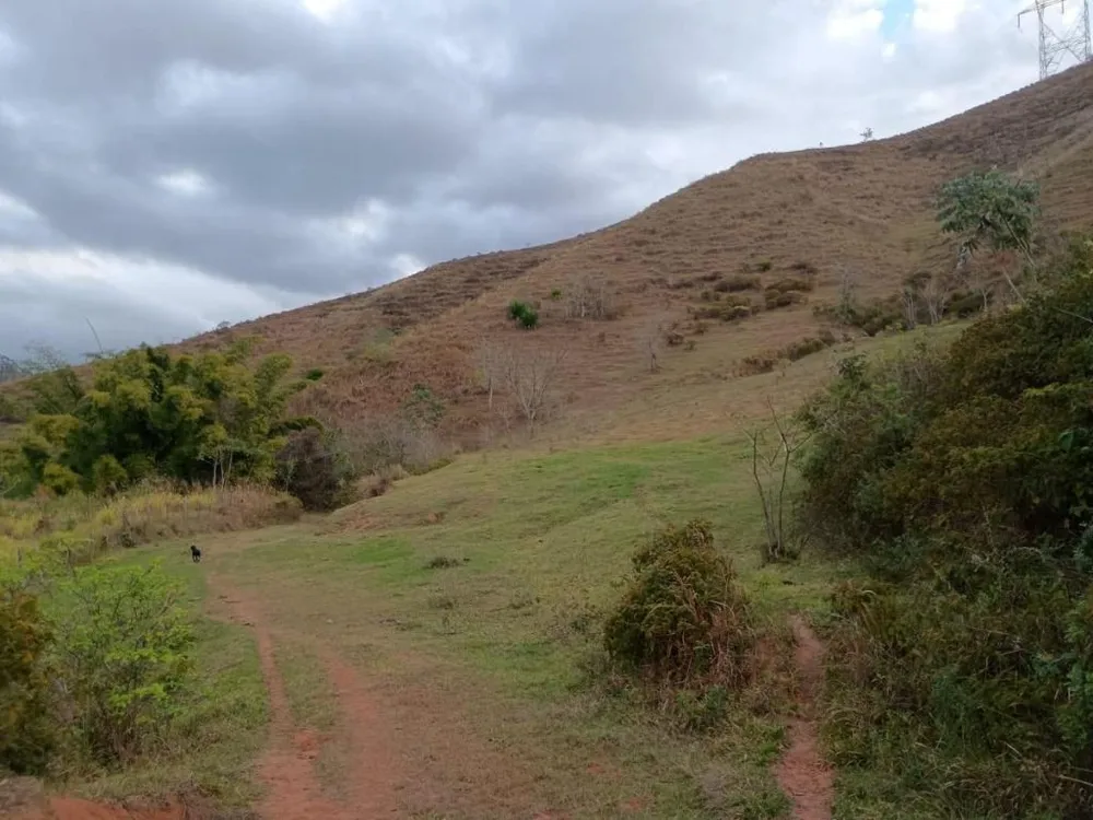 Fazenda, 78 hectares - Foto 6