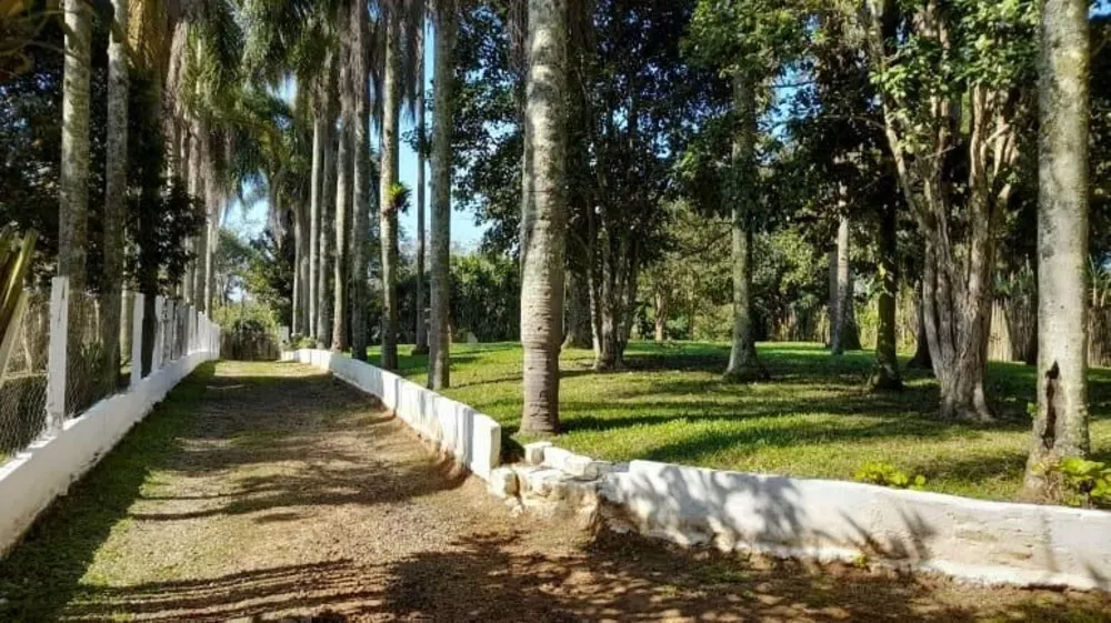 Chácara - Foto 3