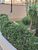 Apartamento, 1 quarto, 37 m² - Foto 21