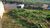 Terreno, 630 m² - Foto 9