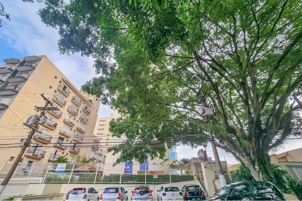 Apartamento, 3 quartos, 80 m² - Foto 1