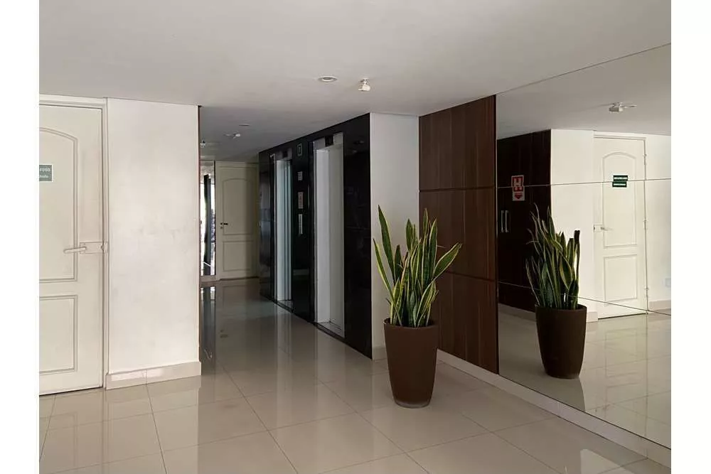 Apartamento, 3 quartos, 79 m² - Foto 14