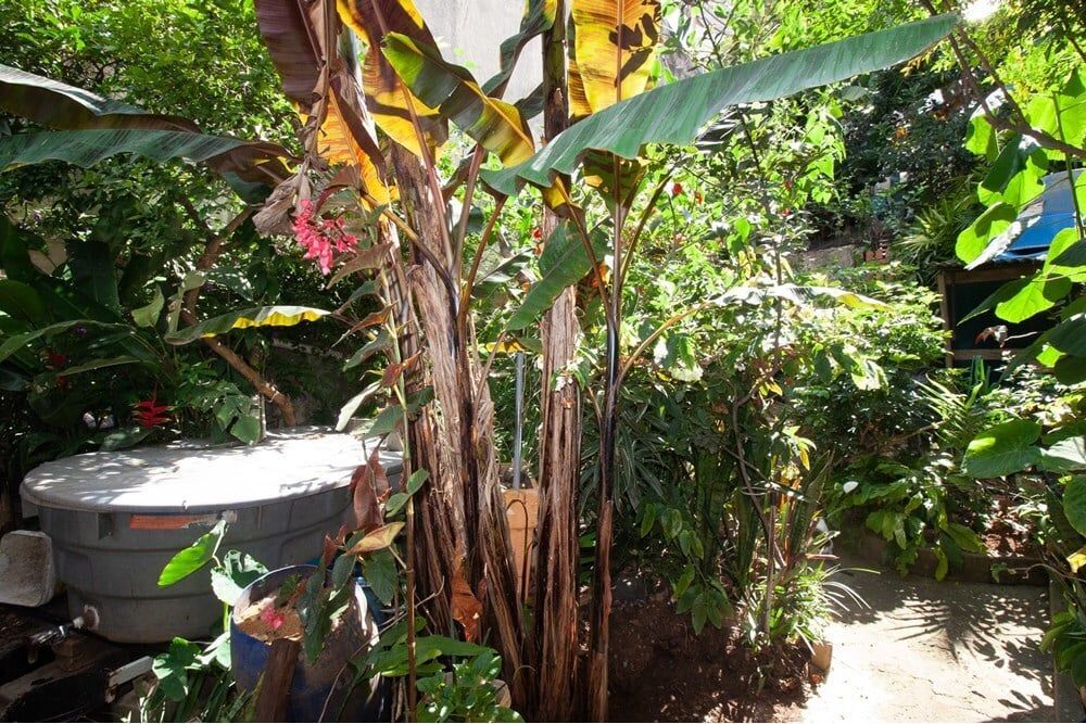 Casa de Condomínio à venda com 3 quartos, 154m² - Foto 9