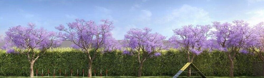 Apartamento, 3 quartos, 115 m² - Foto 24