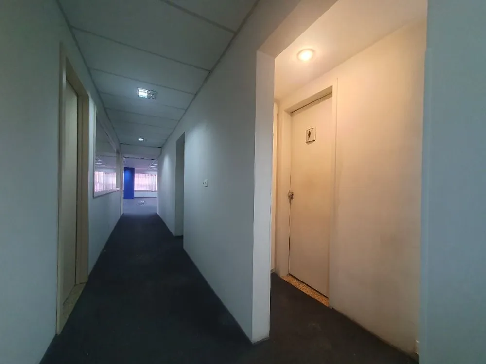 Sala-Conjunto, 513 m² - Foto 3