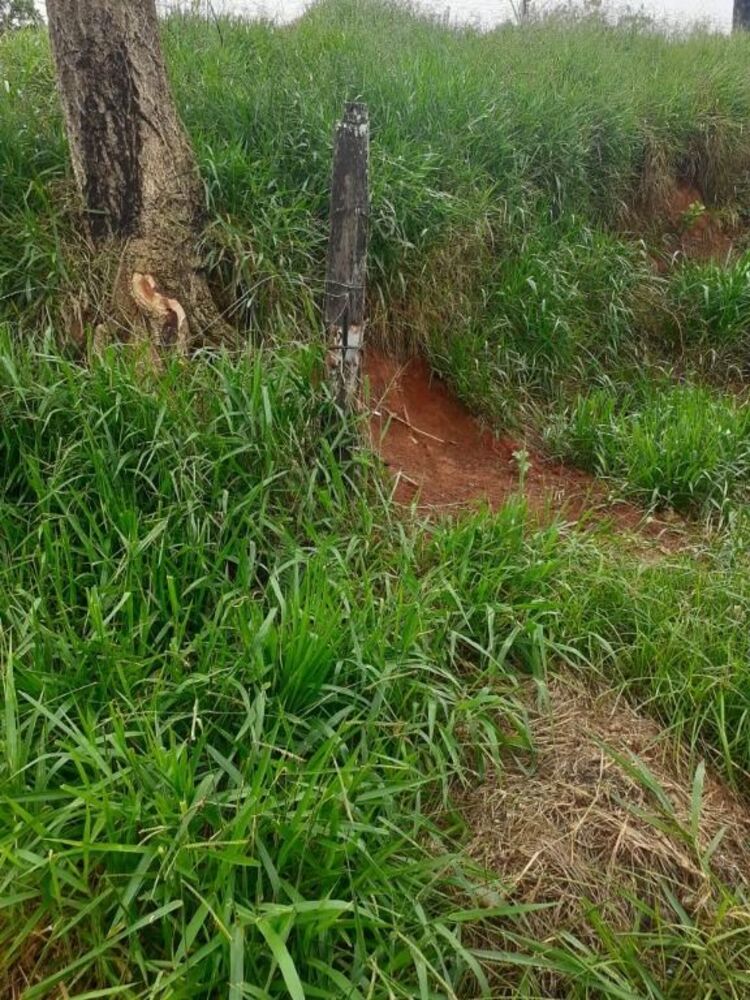 Terreno à venda, 380M2 - Foto 2
