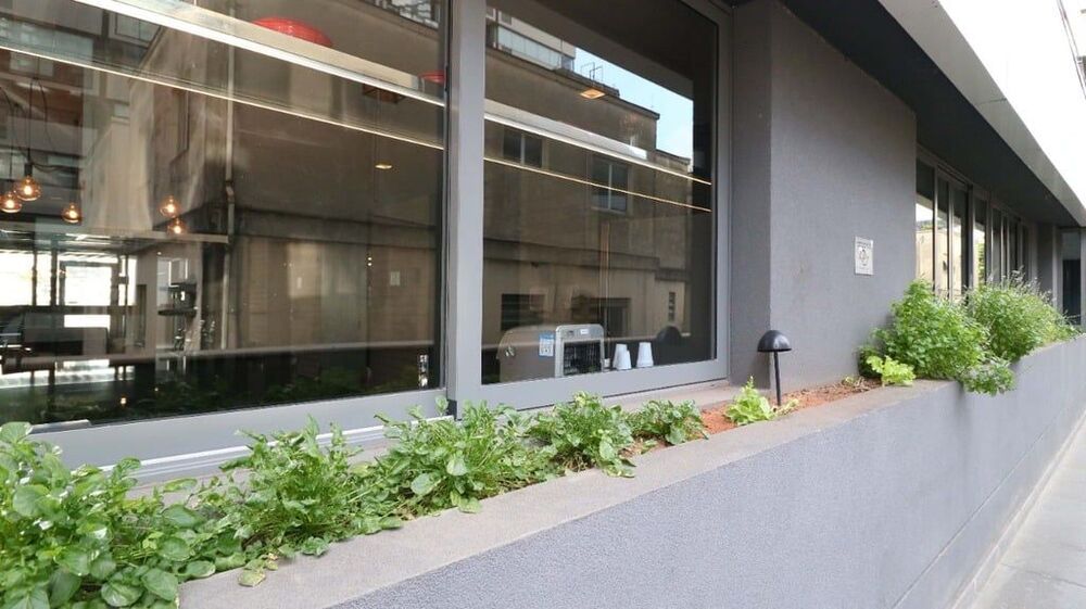 Kitnet-Studio, 18 m² - Foto 9