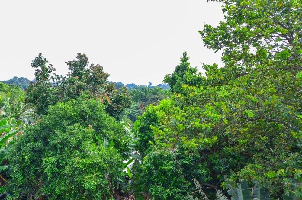 Casa de Condomínio à venda com 4 quartos, 270m² - Foto 1