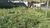 Terreno, 630 m² - Foto 3