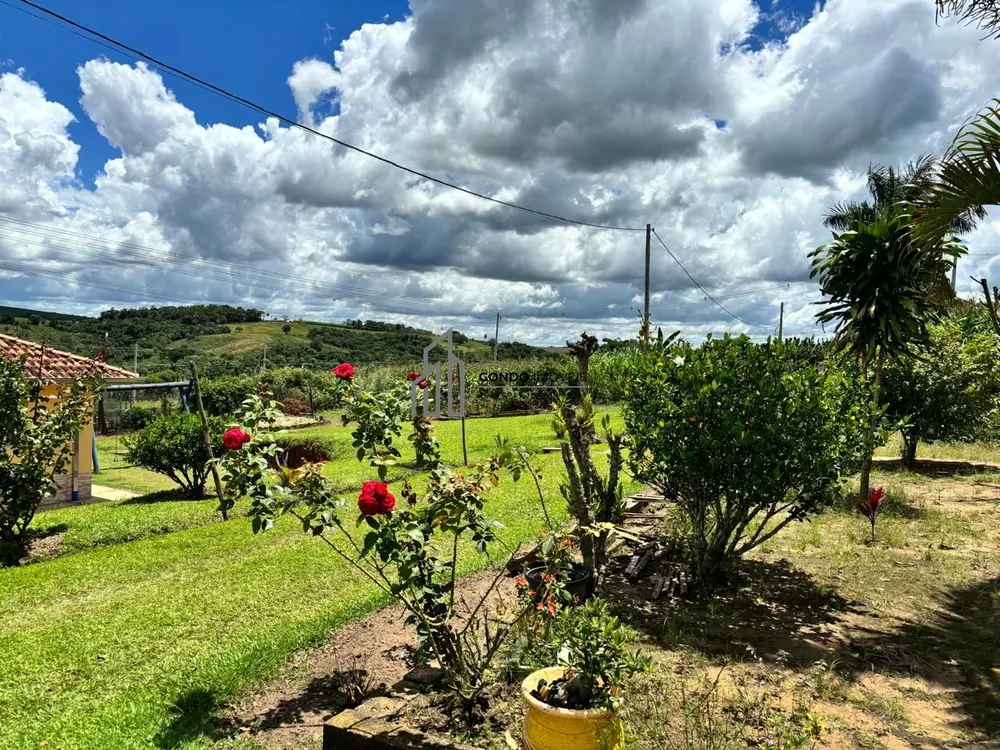 Fazenda, 18 hectares - Foto 8