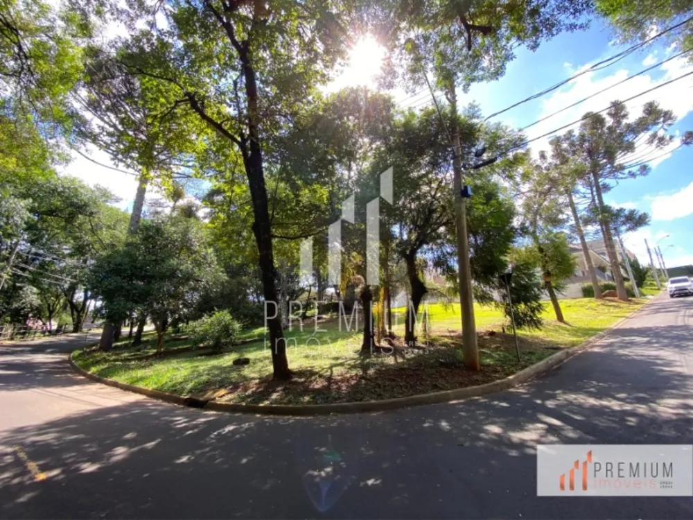 Terreno - Foto 1