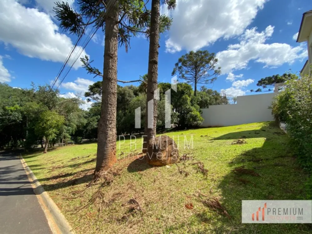Terreno - Foto 2