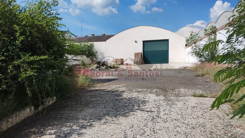Depósito-Galpão, 1000 m² - Foto 4