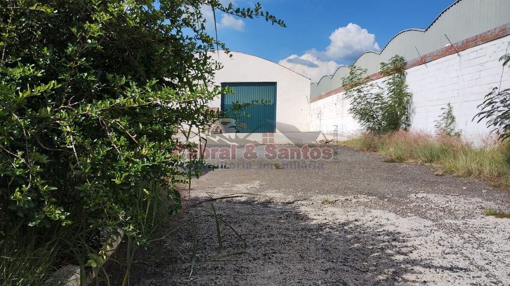 Depósito-Galpão, 1000 m² - Foto 3