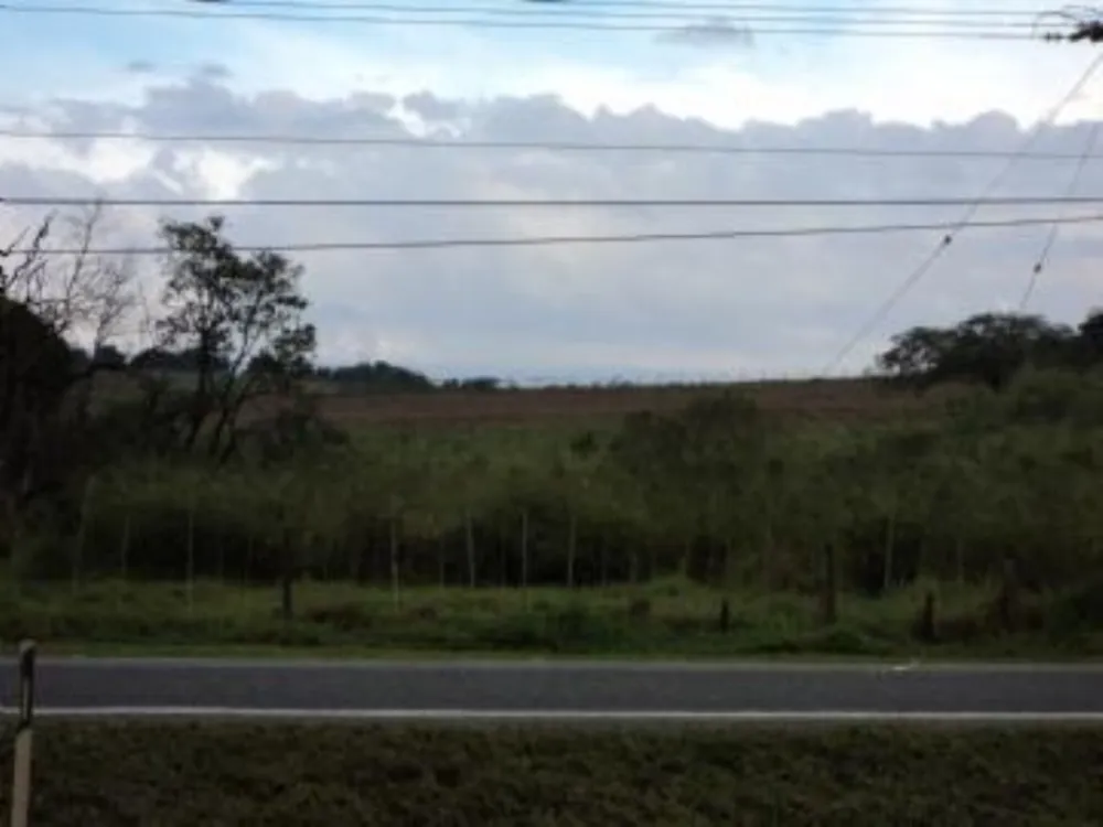 Terreno, 10 hectares - Foto 1