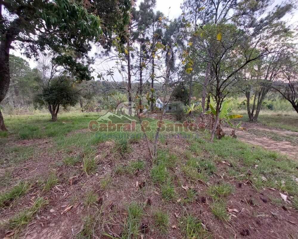 Sítio, 8 quartos, 16 hectares - Foto 1