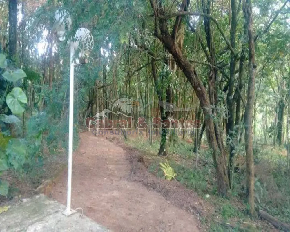 Sítio, 4 quartos, 400 m² - Foto 8
