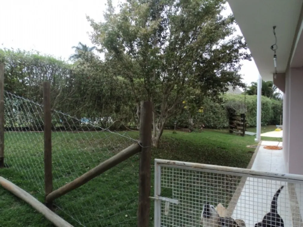 Casa, 5 quartos, 600 m² - Foto 12