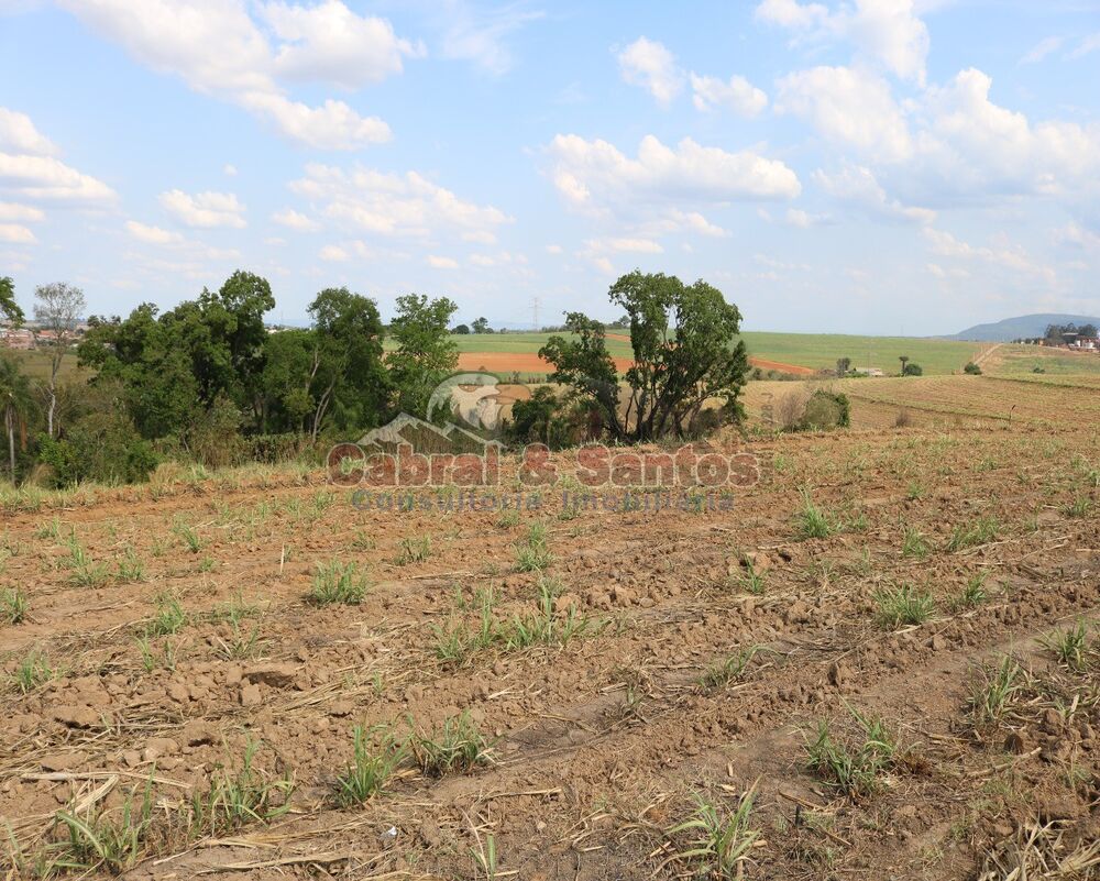 Terreno, 12 hectares - Foto 4