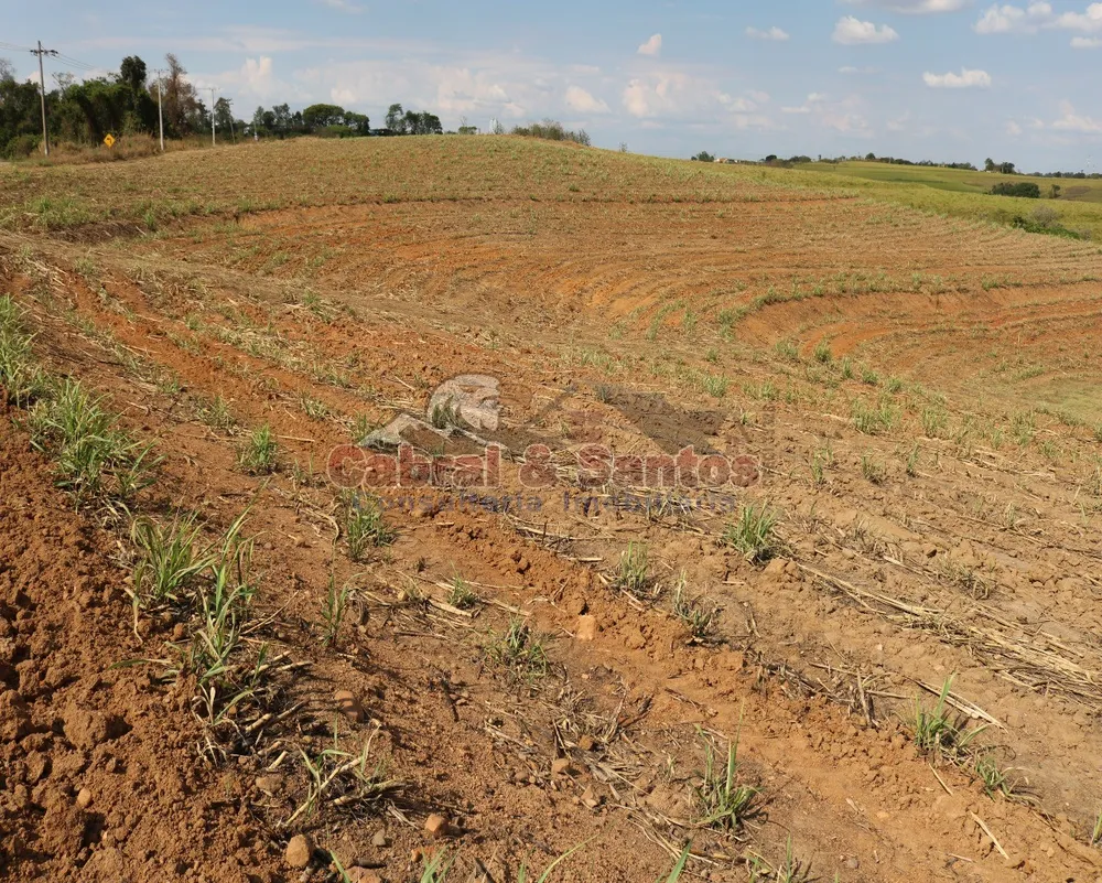 Terreno, 12 hectares - Foto 4