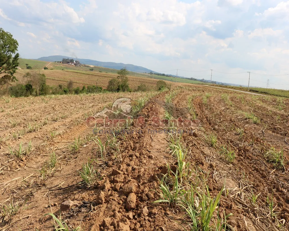 Terreno, 12 hectares - Foto 3