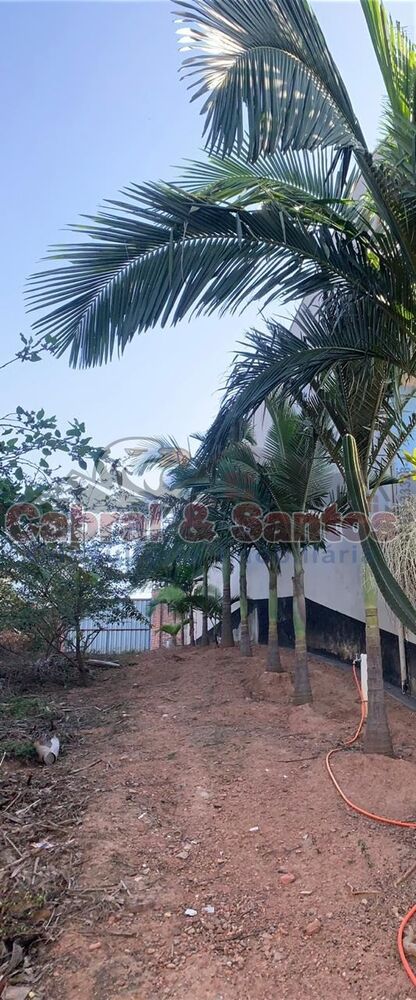 Terreno, 3500 m² - Foto 4