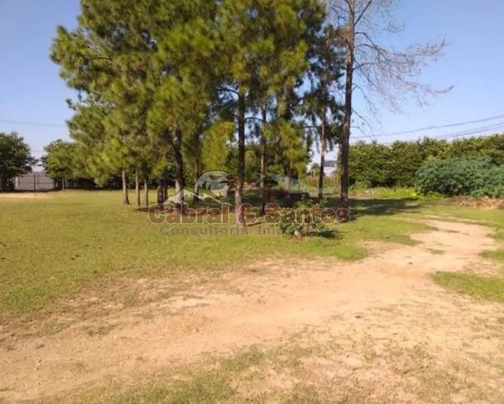 Terreno, 2 hectares - Foto 4
