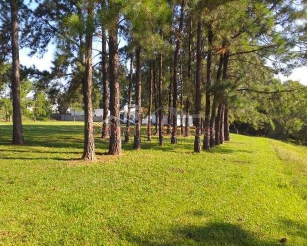 Terreno, 2 hectares - Foto 2