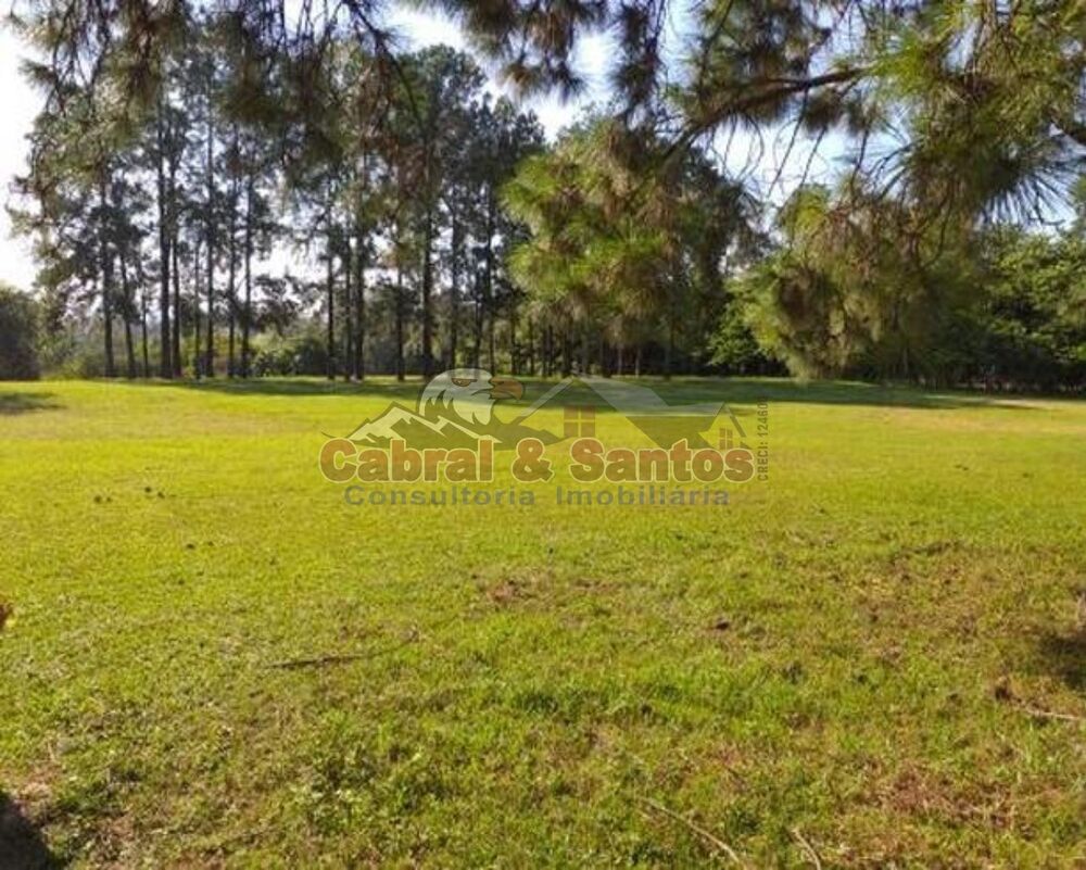 Terreno, 2 hectares - Foto 1
