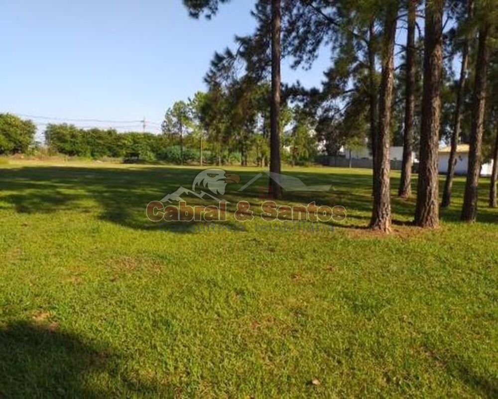 Terreno, 2 hectares - Foto 4