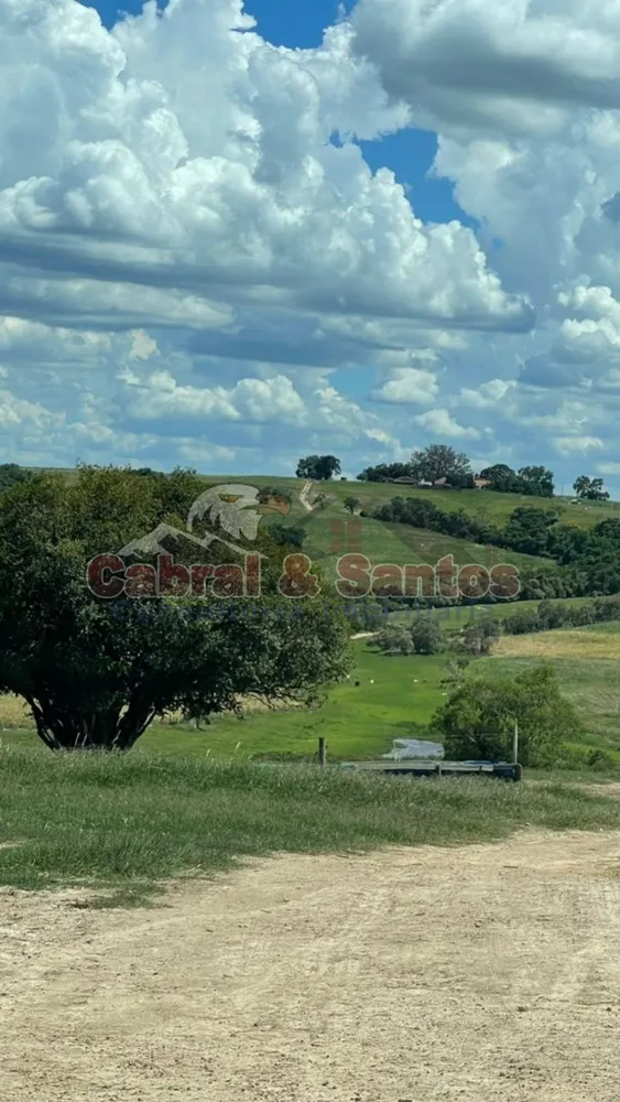 Fazenda, 97 hectares - Foto 5