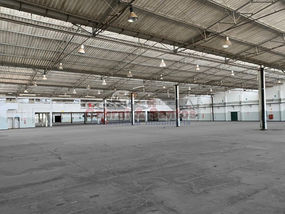 Depósito-Galpão, 11016 m² - Foto 3