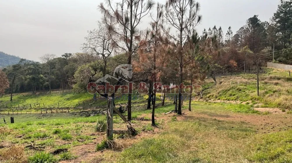 Fazenda, 14 hectares - Foto 8