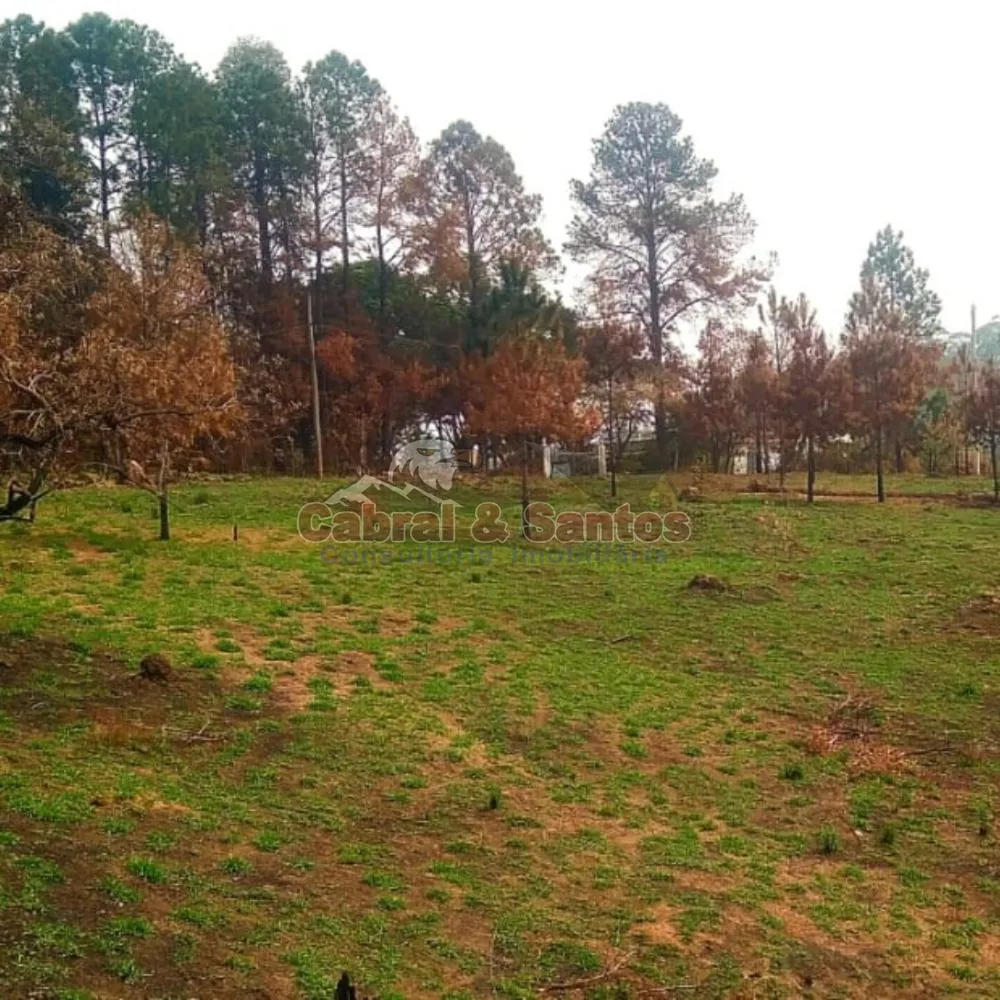 Fazenda, 14 hectares - Foto 5