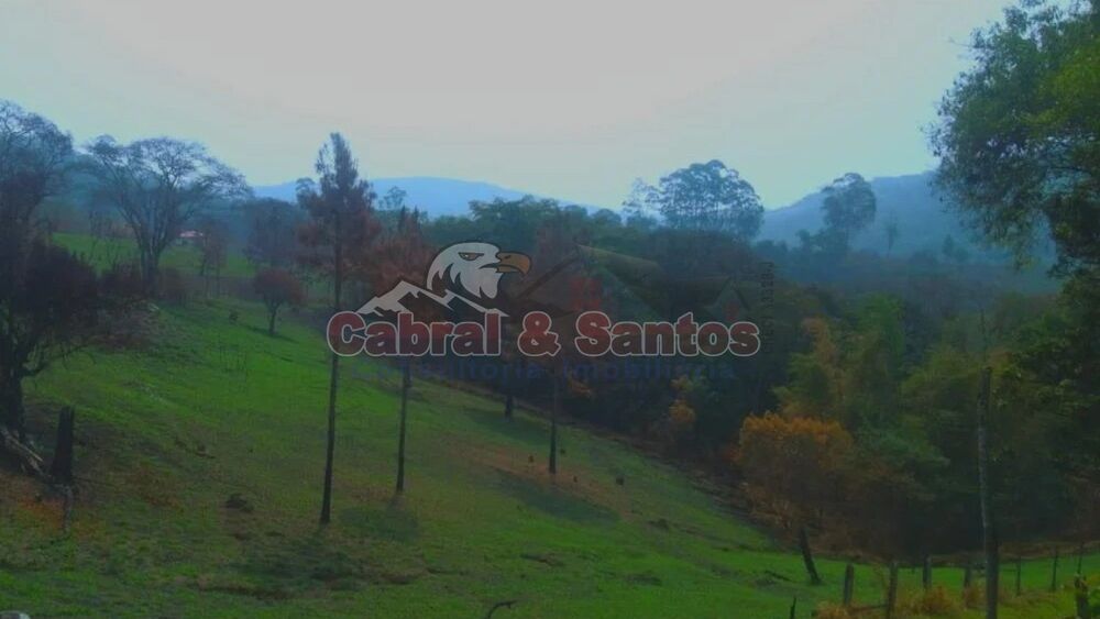 Fazenda, 14 hectares - Foto 4