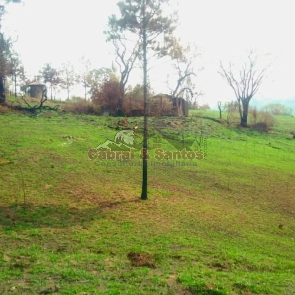 Fazenda, 14 hectares - Foto 7