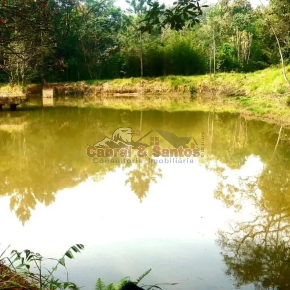 Fazenda, 14 hectares - Foto 9