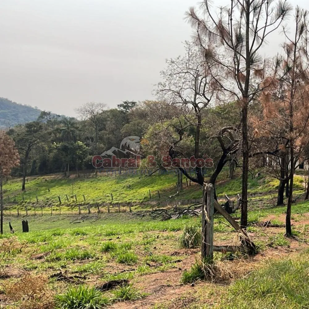 Fazenda, 14 hectares - Foto 4