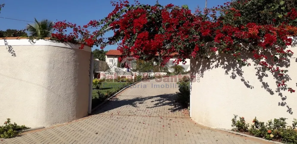 Chácara, 4 quartos, 2000 m² - Foto 3