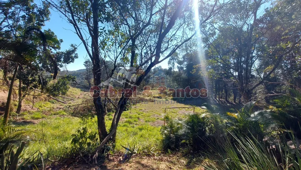 Chácara, 5 quartos, 2 hectares - Foto 10