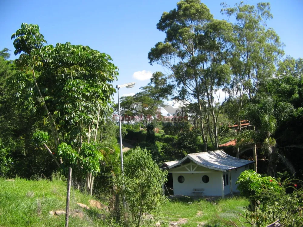 Chácara, 10 quartos, 10000 m² - Foto 11