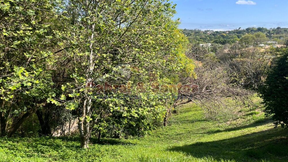 Terreno, 3200 m² - Foto 2