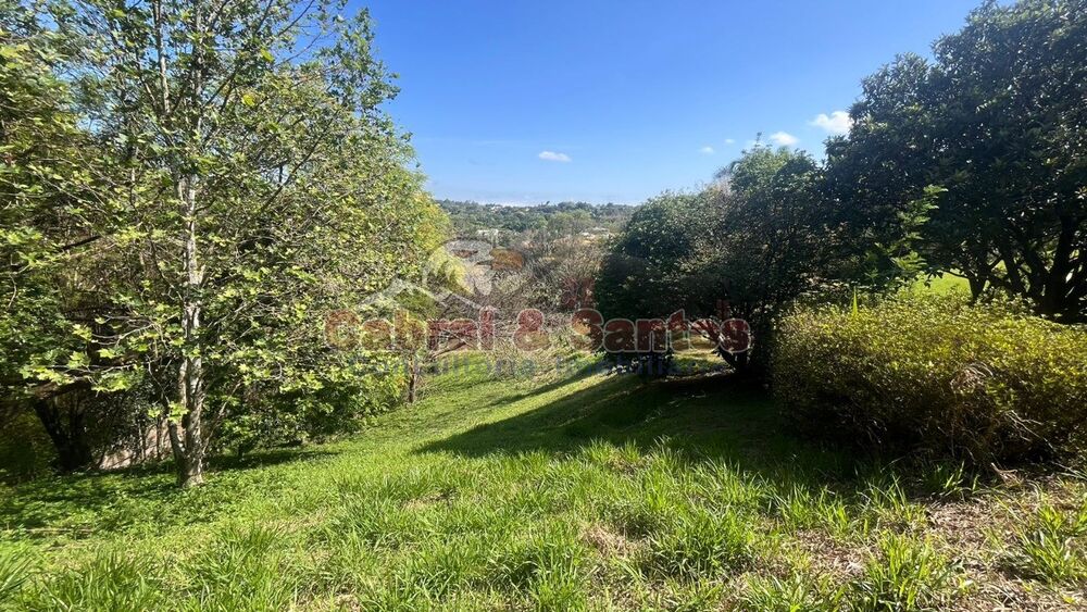 Terreno, 3200 m² - Foto 3