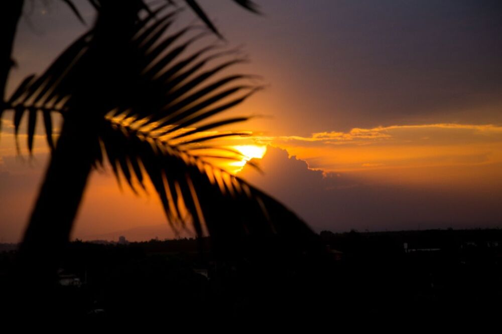 Casa, 6 quartos - Foto 16