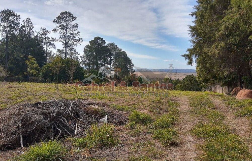 Terreno, 5349 m² - Foto 4