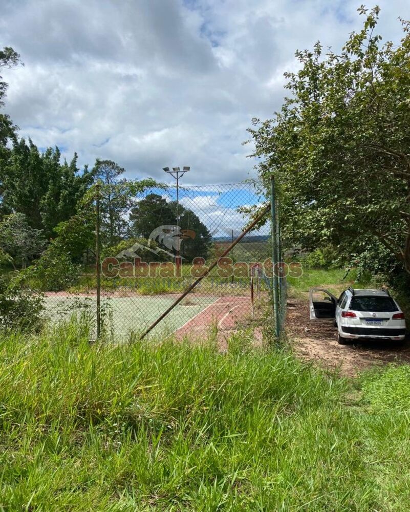 Terreno, 5349 m² - Foto 3