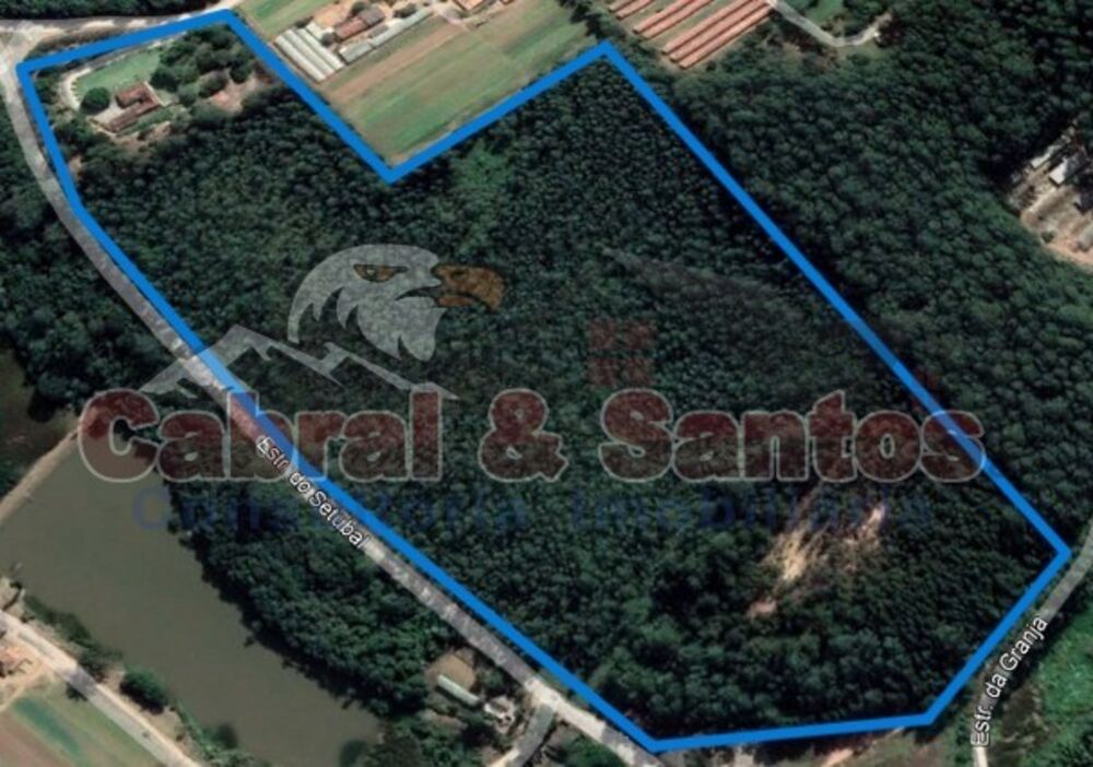 Sítio à venda com 5 quartos, 365m² - Foto 12