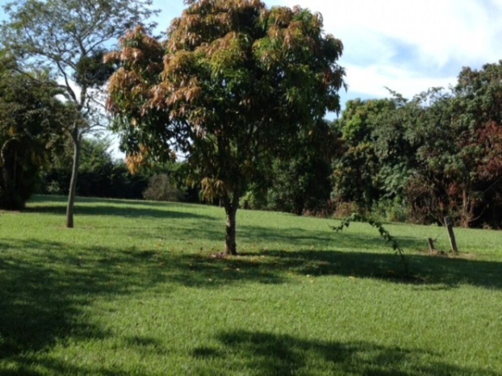 Sítio, 11 quartos, 5 hectares - Foto 2